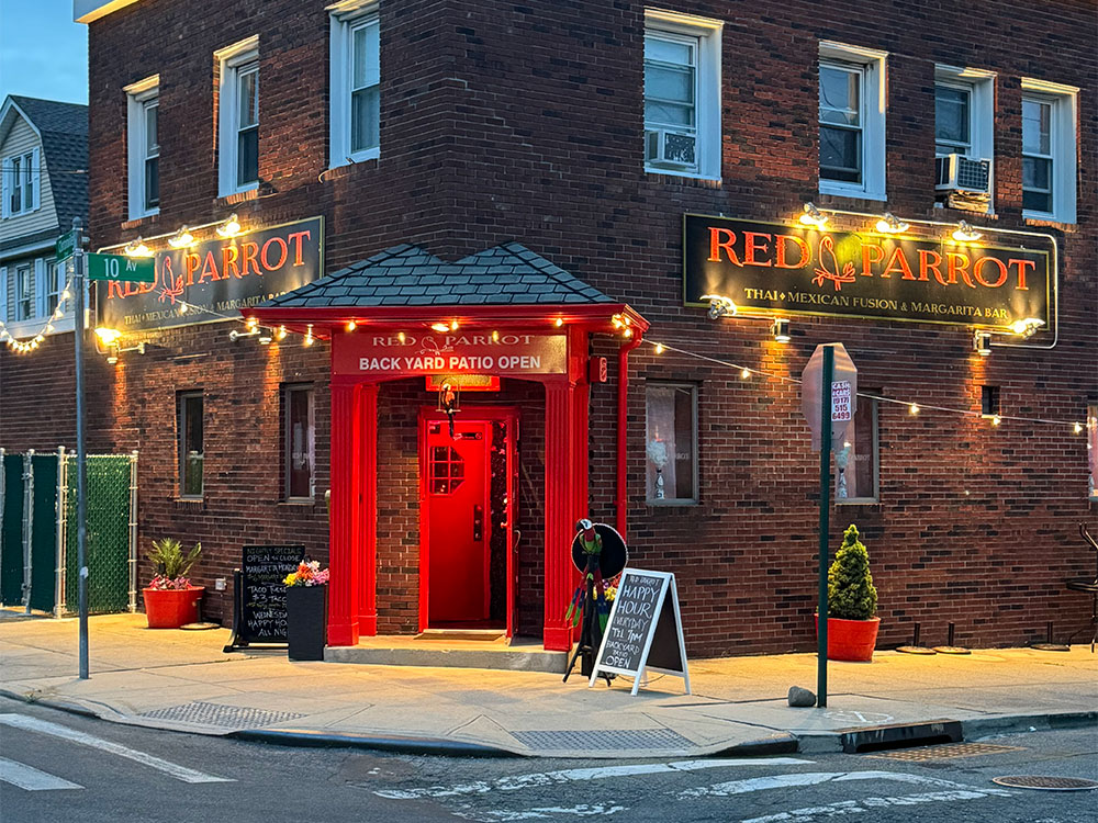 Red Parrot Photos