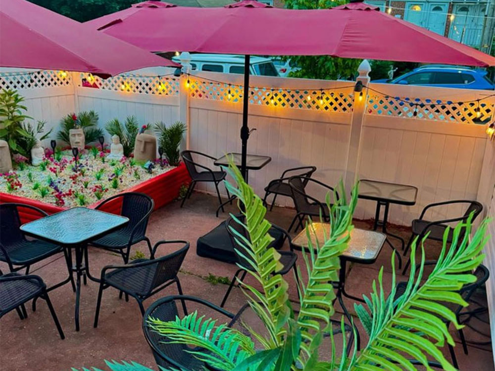 Red Parrot Photos
