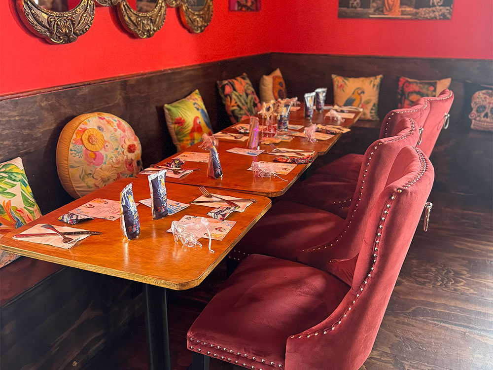 Red Parrot Photos